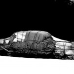 スキャン画像 007