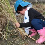 s-img_0615