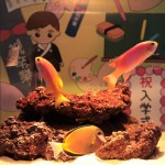 s-IMG_3037