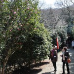 s-IMG_3290