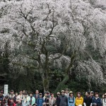 s-IMG_3477
