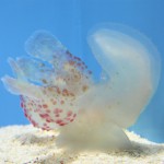 s-IMG_5384