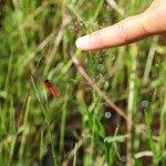 s-IMG_5632