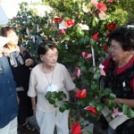 s-IMG_6436